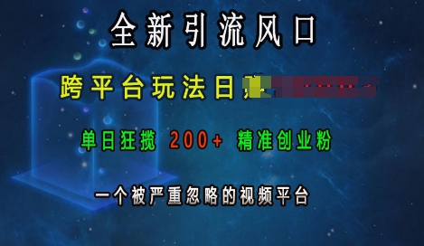 全新引流风口，跨平台玩法日入上k，单日狂揽200+精准创业粉，一个被严重忽略的视频平台-蚂蚁汇资源分享项目网