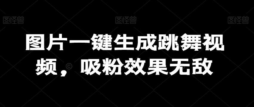图片一键生成跳舞视频，吸粉效果无敌-蚂蚁汇资源分享项目网
