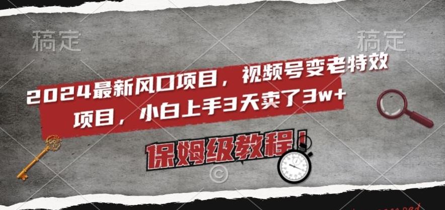 2024最新风口项目，视频号变老特效项目，电脑小白上手3天卖了3w+，保姆级教程【揭秘】-蚂蚁汇资源分享项目网