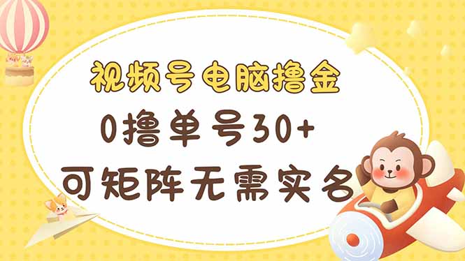 视频号电脑撸金 0撸单号30+ 可矩阵 无需实名多号多得-蚂蚁汇资源分享项目网