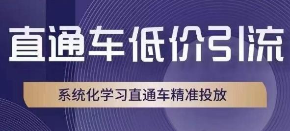 直通车低价引流课，系统化学习直通车精准投放-蚂蚁汇资源分享项目网