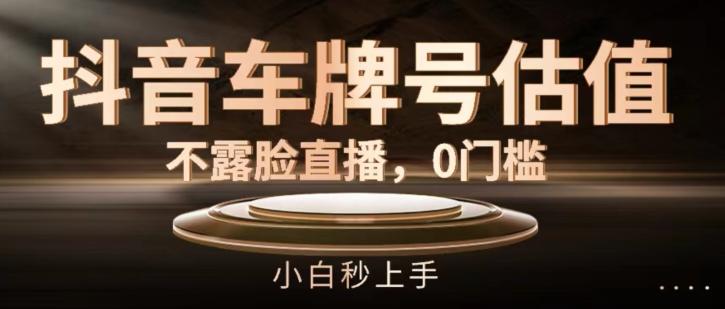 抖音车牌号估值，不露脸直播，0门槛，小白秒上手【揭秘】-蚂蚁汇资源分享项目网