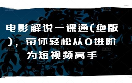 电影解说一课通(绝版)，带你轻松从0进阶为短视频高手-蚂蚁汇资源分享项目网