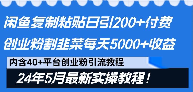 闲鱼复制粘贴日引200+付费创业粉，24年5月最新方法！割韭菜日稳定5000+收益-蚂蚁汇资源分享项目网