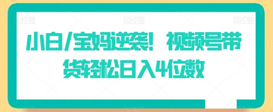 小白/宝妈逆袭！视频号带货轻松日入4位数【揭秘】-蚂蚁汇资源分享项目网