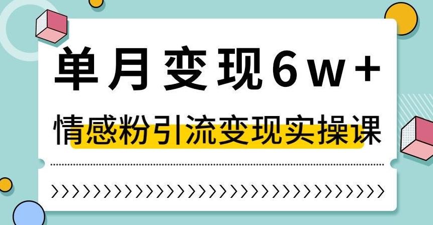 单月变现6W+，抖音情感粉引流变现实操课，小白可做，轻松上手，独家赛道【揭秘】-蚂蚁汇资源分享项目网