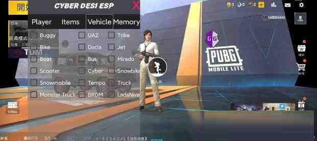PUBG轻量老外裸奔绘制+自瞄 支持ROOT和框架 里面有全局离线-蚂蚁汇资源分享项目网