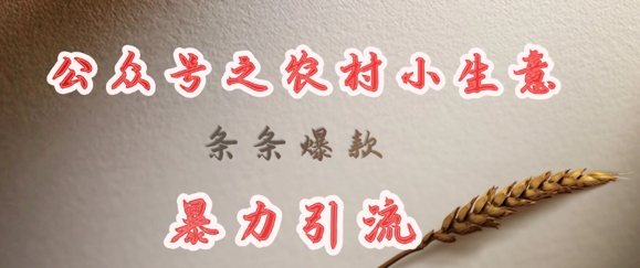 deepseek写农村小项目，条条爆款，暴力引流-蚂蚁汇资源分享项目网