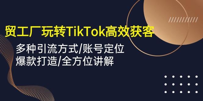 外贸工厂玩转TikTok高效获客，多种引流方式/账号定位/爆款打造/全方位讲解-蚂蚁汇资源分享项目网