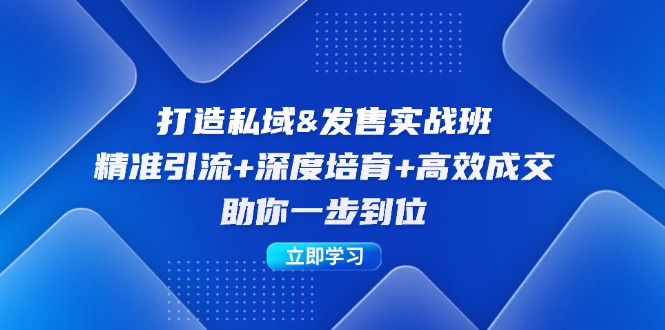 打造私域&发售实操班：精准引流+深度培育+高效成交，助你一步到位-蚂蚁汇资源分享项目网