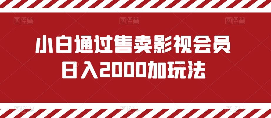 小白通过售卖影视会员日入2000加玩法-蚂蚁汇资源分享项目网