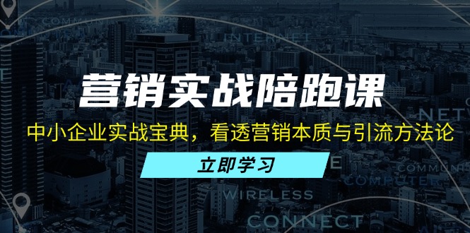营销实战陪跑课：中小企业实战宝典，看透营销本质与引流方法论-蚂蚁汇资源分享项目网