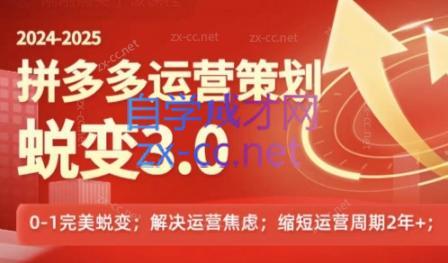 大力老师·2024拼多多运营策略蜕变3.0-蚂蚁汇资源分享项目网