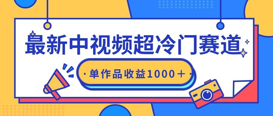 (9275期)最新中视频超冷门赛道，轻松过原创，单条视频收益1000＋-蚂蚁汇资源分享项目网