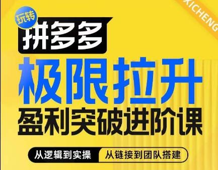 拼多多极限拉升盈利突破进阶课，​从算法到玩法，从玩法到团队搭建，体系化系统性帮助商家实现利润提升-蚂蚁汇资源分享项目网