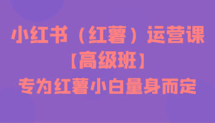 小红书(红薯)运营课【高级班】，专为红薯小白量身而定(42节课)-蚂蚁汇资源分享项目网