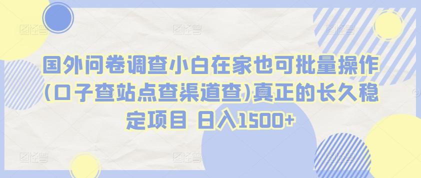 国外问卷调查小白在家也可批量操作(口子查站点查渠道查)真正的长久稳定项目 日入1500+【揭秘】-蚂蚁汇资源分享项目网