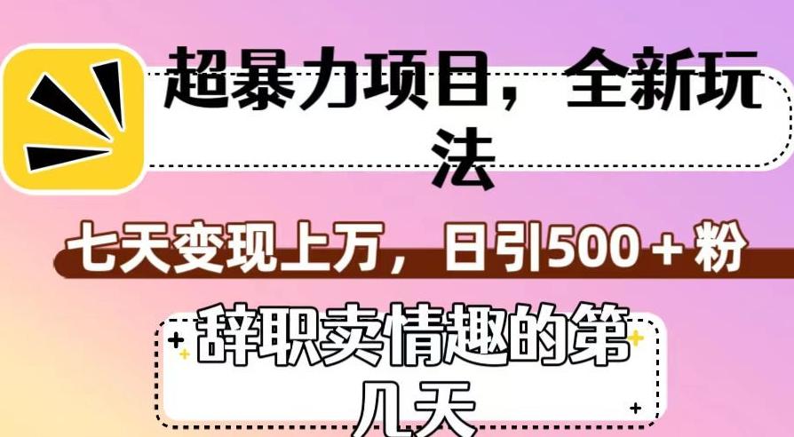 超暴利项目，全新玩法（辞职卖情趣的第几天），七天变现上万，日引500+粉【揭秘】-蚂蚁汇资源分享项目网