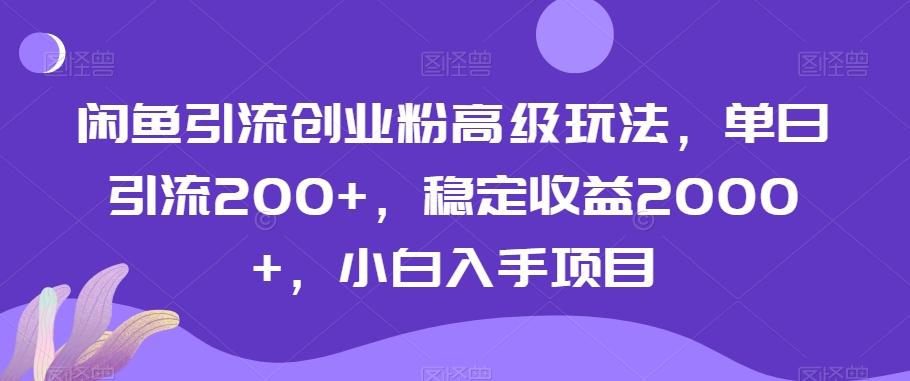 闲鱼引流创业粉高级玩法，单日引流200+，稳定收益2000+，小白入手项目-蚂蚁汇资源分享项目网