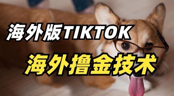 抖音海外版tiktok撸金技术，这个风口行业，赚钱真的不难【揭秘】-蚂蚁汇资源分享项目网