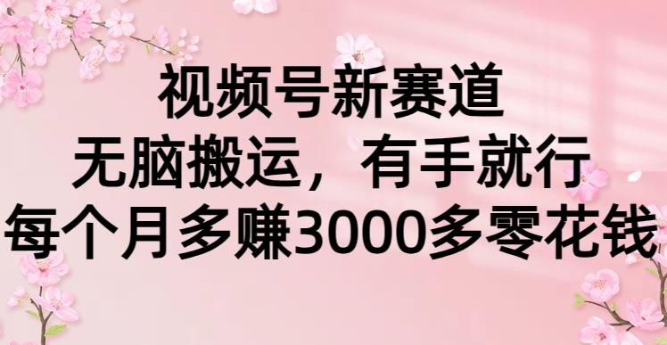 (9278期)视频号新赛道，无脑搬运，有手就行，每个月多赚3000多零花钱-蚂蚁汇资源分享项目网