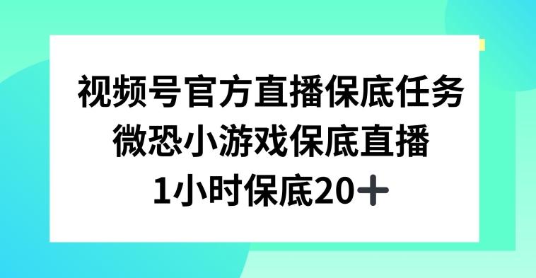 视频号直播任务，微恐小游戏，1小时20+【揭秘】-蚂蚁汇资源分享项目网