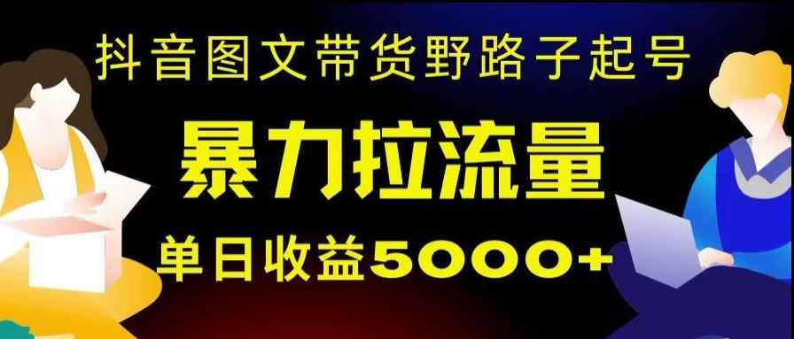 抖音图文带货暴力起号，单日收益5000+，野路子玩法，简单易上手，一部手机即可【揭秘】-蚂蚁汇资源分享项目网