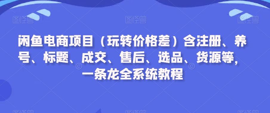 闲鱼电商项目(玩转价格差)含注册、养号、标题、成交、售后、选品、货源等，一条龙全系统教程-蚂蚁汇资源分享项目网