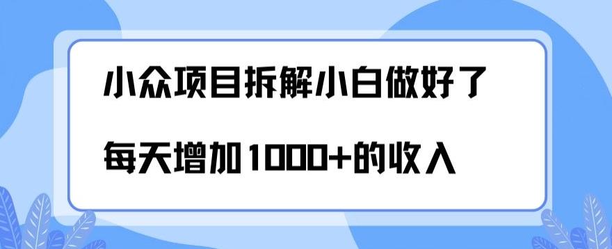 小众项目拆解，小白做好了每天可增加1000多的收入-蚂蚁汇资源分享项目网