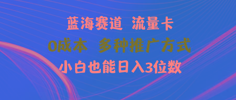 蓝海赛道 流量卡 0成本 小白也能日入三位数-蚂蚁汇资源分享项目网