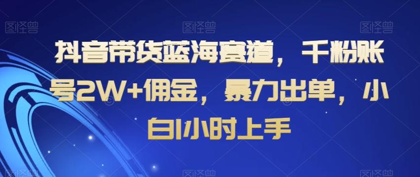 抖音带货蓝海赛道，千粉账号2W+佣金，暴力出单，小白1小时上手【揭秘】-蚂蚁汇资源分享项目网