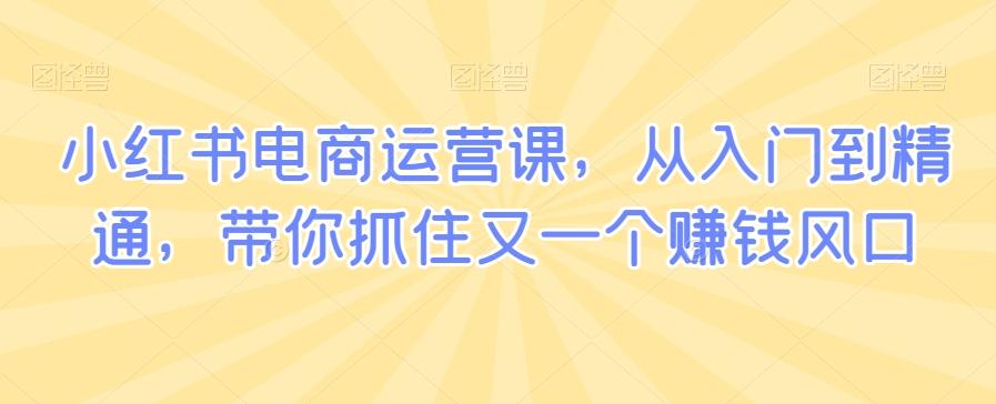小红书电商运营课，从入门到精通，带你抓住又一个赚钱风口-蚂蚁汇资源分享项目网