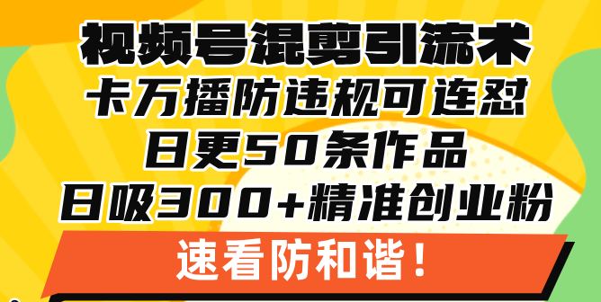 视频号混剪引流技术，500万播放引流17000创业粉，操作简单当天学会-蚂蚁汇资源分享项目网