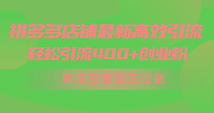 (10041期)拼多多店铺最新高效引流术，轻松引流400+创业粉，精准日变现五位数！-蚂蚁汇资源分享项目网