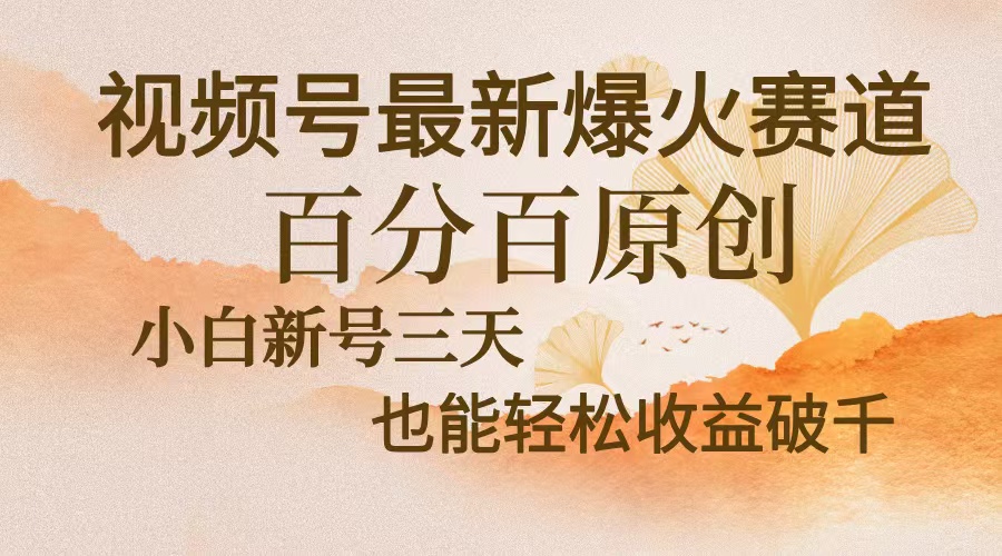 视频号最新爆火赛道，中老年粉深信不疑，百分百原创，新号三天收益轻松…-蚂蚁汇资源分享项目网
