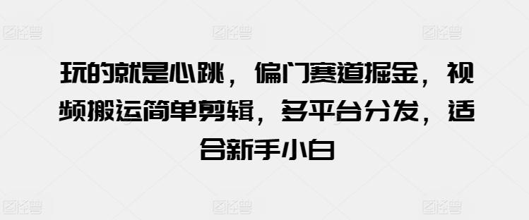 玩的就是心跳，偏门赛道掘金，视频搬运简单剪辑，多平台分发，适合新手小白【揭秘】-蚂蚁汇资源分享项目网