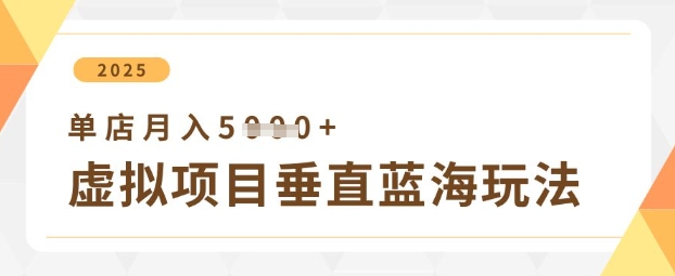 虚拟项目垂直玩法，实现单店月入5k+-蚂蚁汇资源分享项目网
