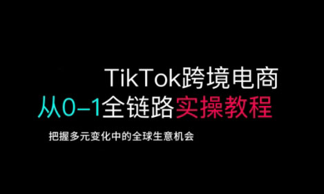 TikTok跨境电商从0-1全链路全方位实操教程，把握多元变化中的全球生意机会-蚂蚁汇资源分享项目网