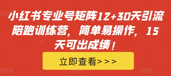 小红书专业号矩阵12+30天引流陪跑训练营，简单易操作，15天可出成绩!-蚂蚁汇资源分享项目网