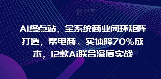 Ai终点站，全系统商业闭环矩阵打造，帮电商、实体降70%成本，12款Ai联合深度实战-蚂蚁汇资源分享项目网