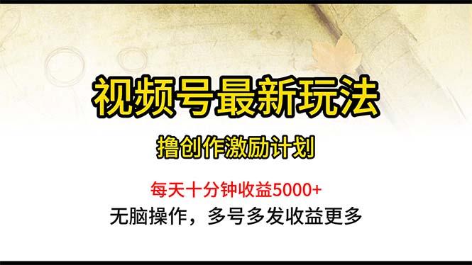 视频号最新玩法，每日一小时月入5000+-蚂蚁汇资源分享项目网