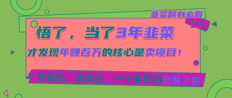 悟了，当了3年韭菜，才发现网赚圈年赚100万的核心是卖项目，含泪分享！-蚂蚁汇资源分享项目网