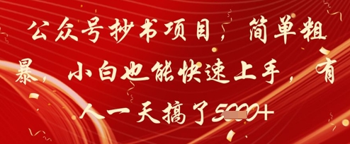 公众号抄书项目，简单粗暴，小白也能快速上手，有人一天搞了1k+-蚂蚁汇资源分享项目网