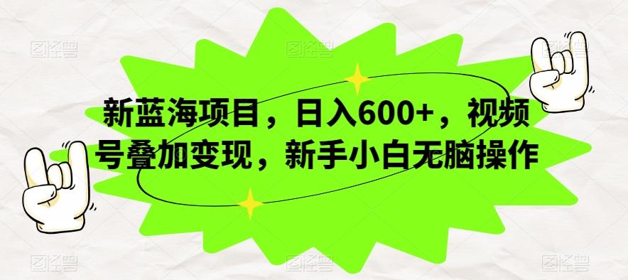 新蓝海项目，日入600+，视频号叠加变现，新手小白无脑操作【揭秘】-蚂蚁汇资源分享项目网