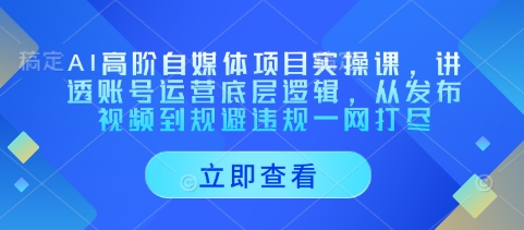 AI高阶自媒体项目实操课，讲透账号运营底层逻辑，从发布视频到规避违规一网打尽-蚂蚁汇资源分享项目网