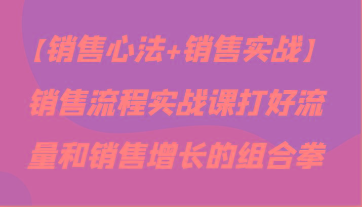 【销售心法+销售实战】销售流程实战课打好流量和销售增长的组合拳-蚂蚁汇资源分享项目网
