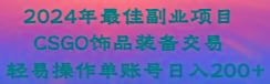 2024年最佳副业项目 CSGO饰品装备交易 轻易操作单账号日入200+-蚂蚁汇资源分享项目网
