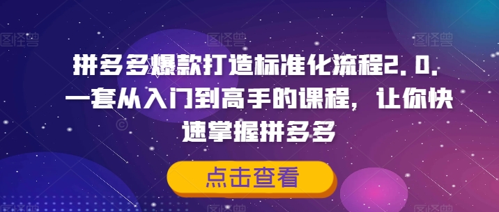 拼多多爆款打造标准化流程2.0，一套从入门到高手的课程，让你快速掌握拼多多-蚂蚁汇资源分享项目网