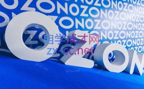 森哥·出海俄罗斯电商实操(2024)-蚂蚁汇资源分享项目网
