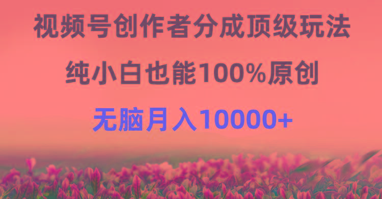 (9608期)视频号创作者分成顶级玩法，纯小白也能100%原创，无脑月入10000+-蚂蚁汇资源分享项目网